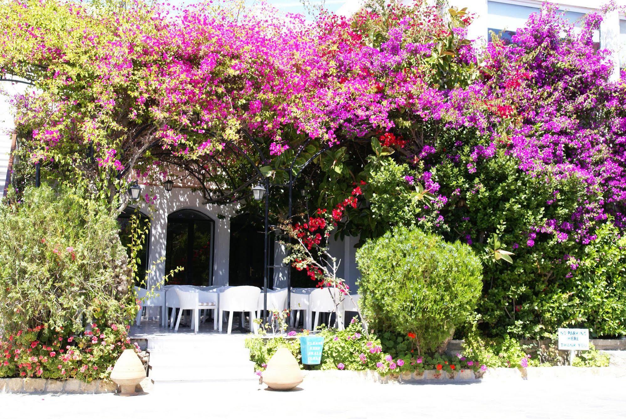 Skala Hotel מראה חיצוני תמונה